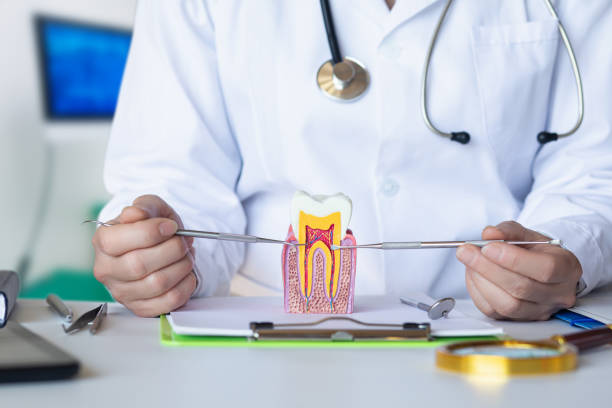 Best Emergency Dental Care for Broken or Chipped Teeth in Wood River, NE
